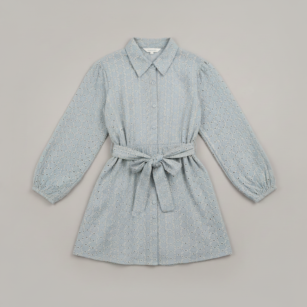 Schiffli Embroidered Mini Dress in Serene Mint