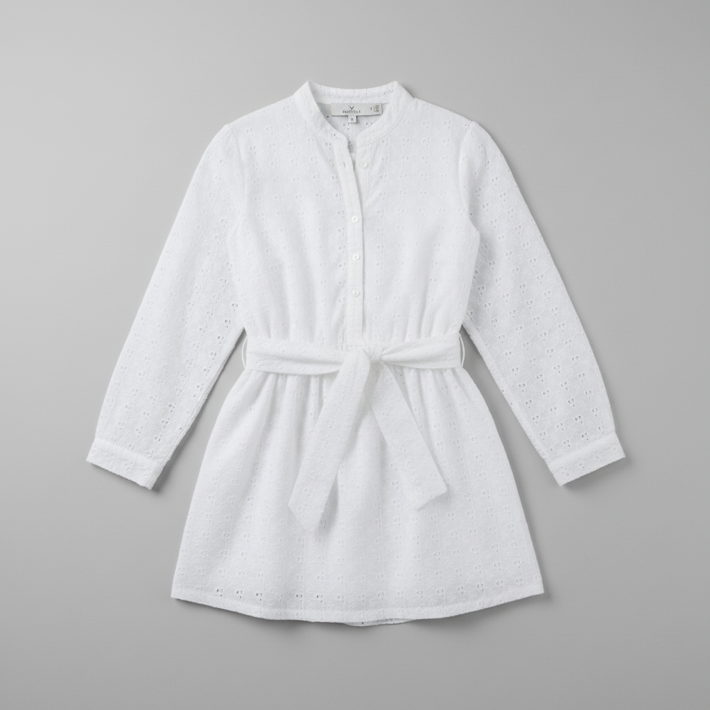 Enchanting Embroidered Schiffli Mini Dress for Women