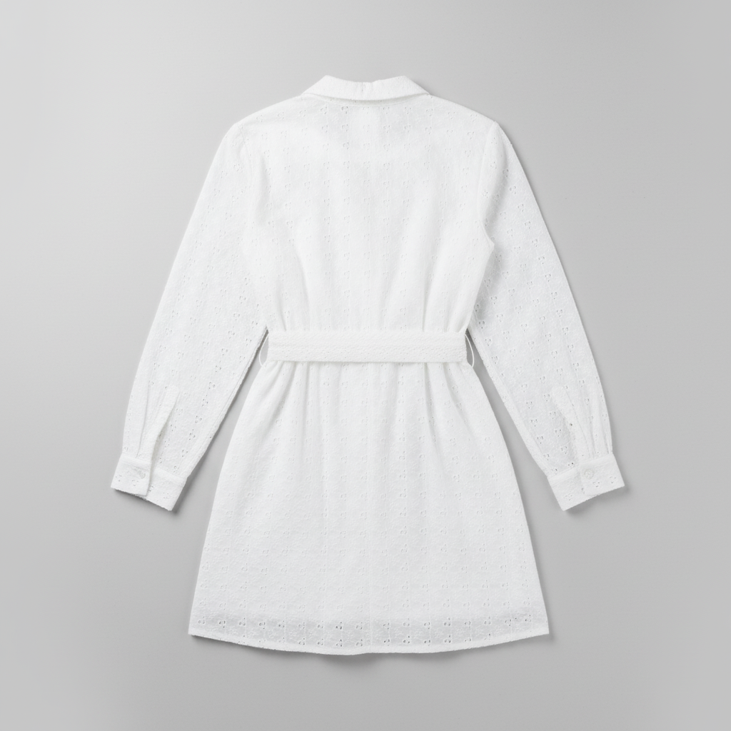 Enchanting Embroidered Schiffli Mini Dress for Women