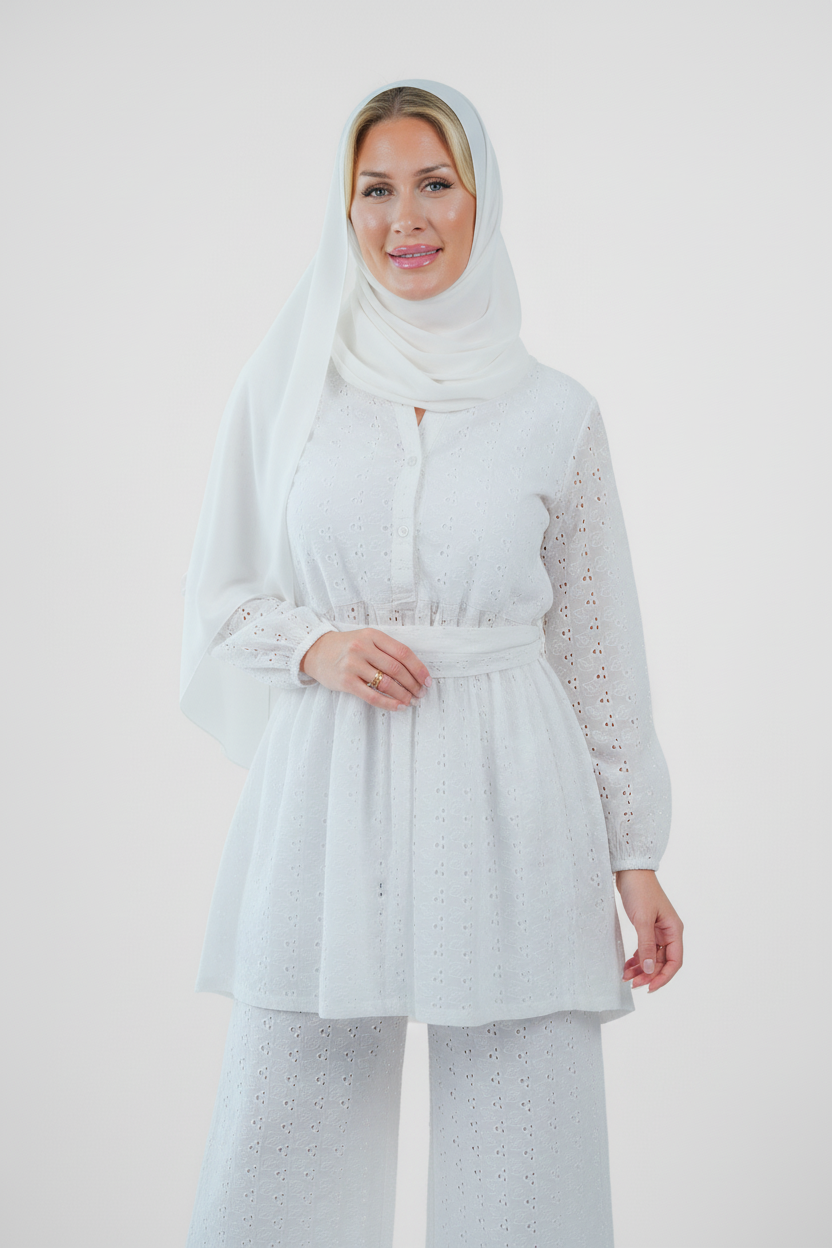 Enchanting Embroidered Schiffli Mini Dress for Women